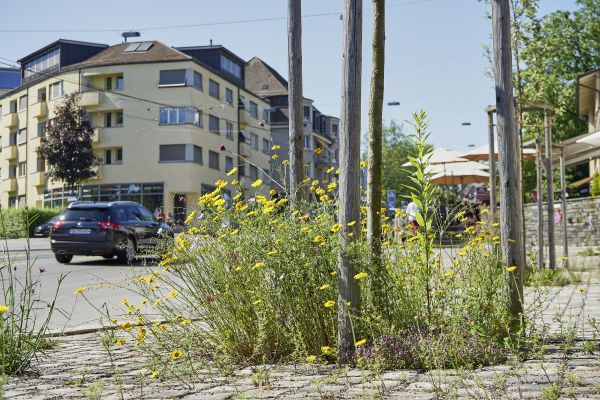 Ökologische Gartengestaltung mitten in einer Stadt - eine Oase für Tier und Mensch.