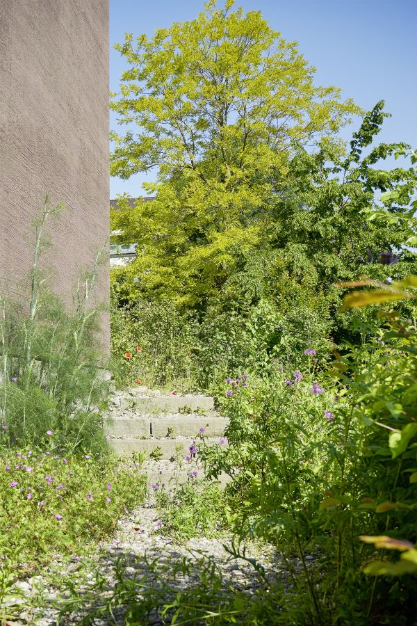 Naturnahe Gartengestaltung ist auch in der Stadt möglich.