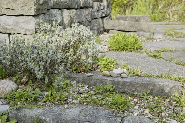 Umweltfreundliche Treppe einer ökologischer Gartengestaltung.
