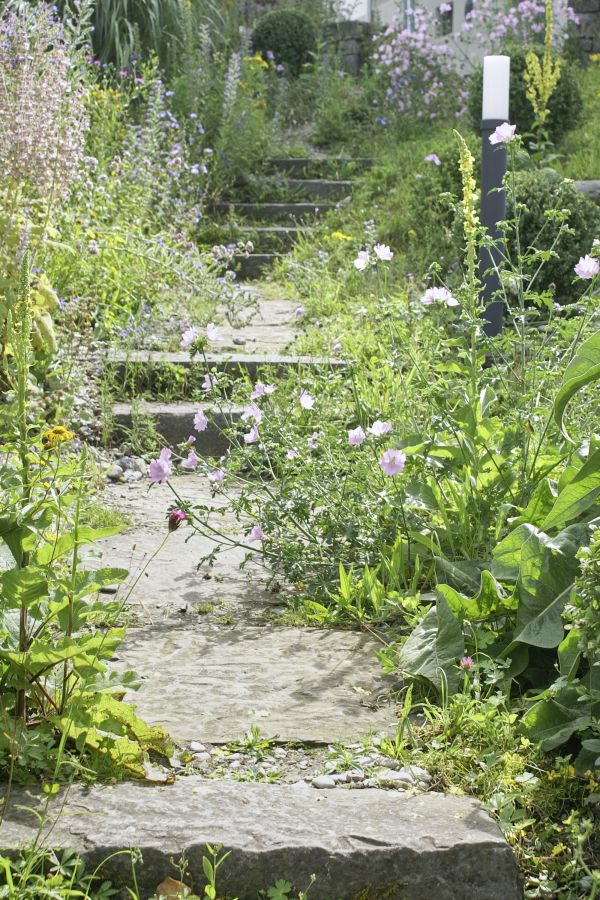 Blütenpracht am Gehweg dank umweltfreundlichem Gartenbau.