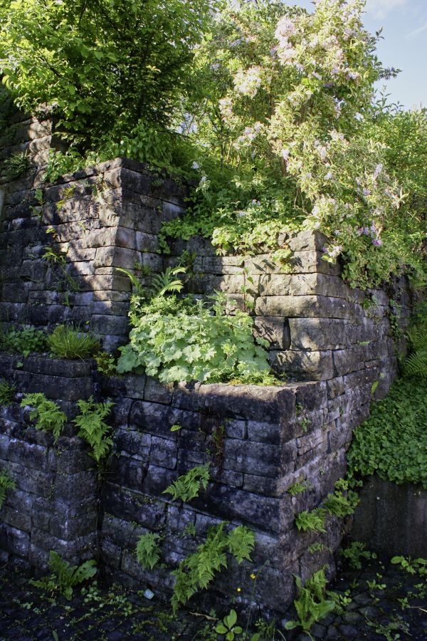 Blütenpracht an einer Terrassierung dank umweltfreundlichem Gartenbau.