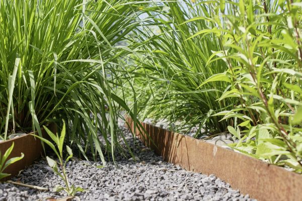 Grosse Pflanzenvielfalt eines ökologischen Gartenbaus.