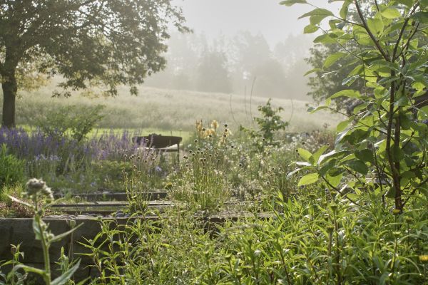 Pflanzenpracht eines ökologischen Gartenbaus.