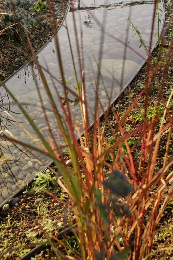 Wasserlauf durch einen biologischen Garten.