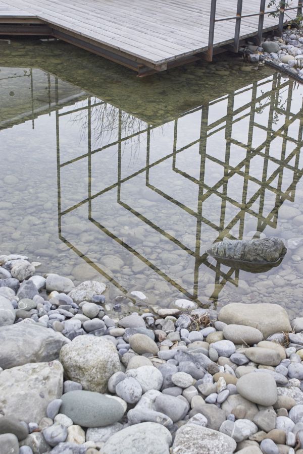 Umweltfreundlicher Gartenbau - ein Teich als Bereicherung für Tier und Mensch.