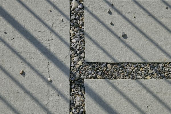 Steinweg in einem naturnahen Garten.