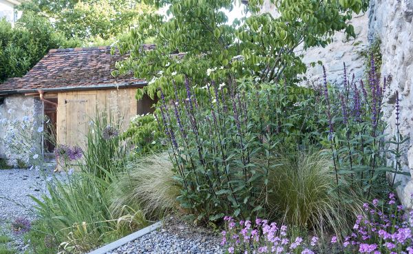 Biodiversität im Stadtgarten