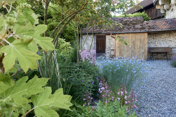 harmonische Gestaltung im Naturgarten